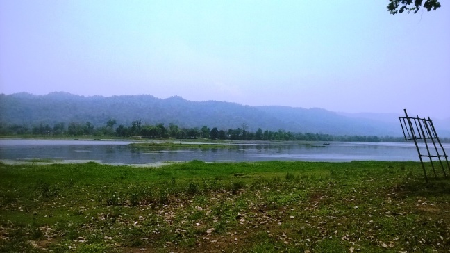 Chandubi Lake Birds, Dipor Bil Birds, Birdwatching Tour Assam, Migratory Birds Assam, Manas National Park Birdwatching, Kaziranga National Park Bird watching