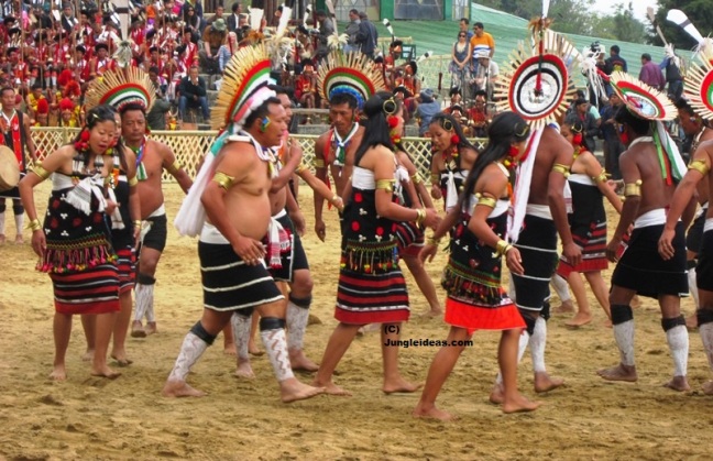 Hornbill Festival, Nagaland Tourism, Hotels Kohima, Dzukou Valley, Nagaland Tribes