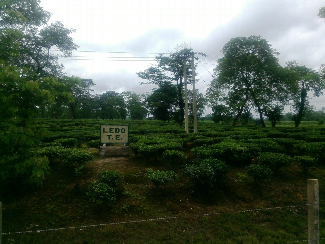 Tea Tours in Assam, Sustainable Tourism North East India, Eco tourism Homestay in Assam, Tribes and Festival of Assam and North East India